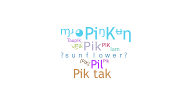 Nickname - pik