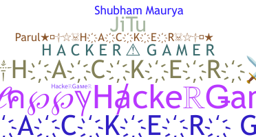 Nickname - HackerGamer