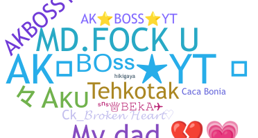 Nickname - Akbossyt